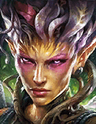 Champion Image