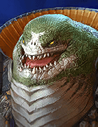 Champion Image