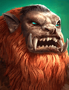 Champion Image