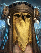 Champion Image