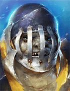 Champion Image