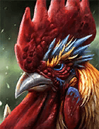 Champion Image