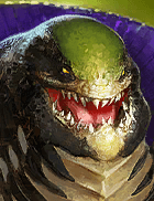 Champion Image