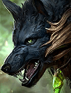 Champion Image