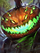 Champion Image