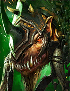 Champion Image