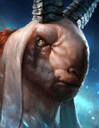 Champion Image