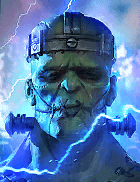 Champion Image