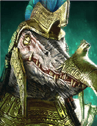 Champion Image
