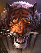 Champion Image