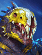 Champion Image
