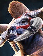 Champion Image