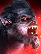 Champion Image